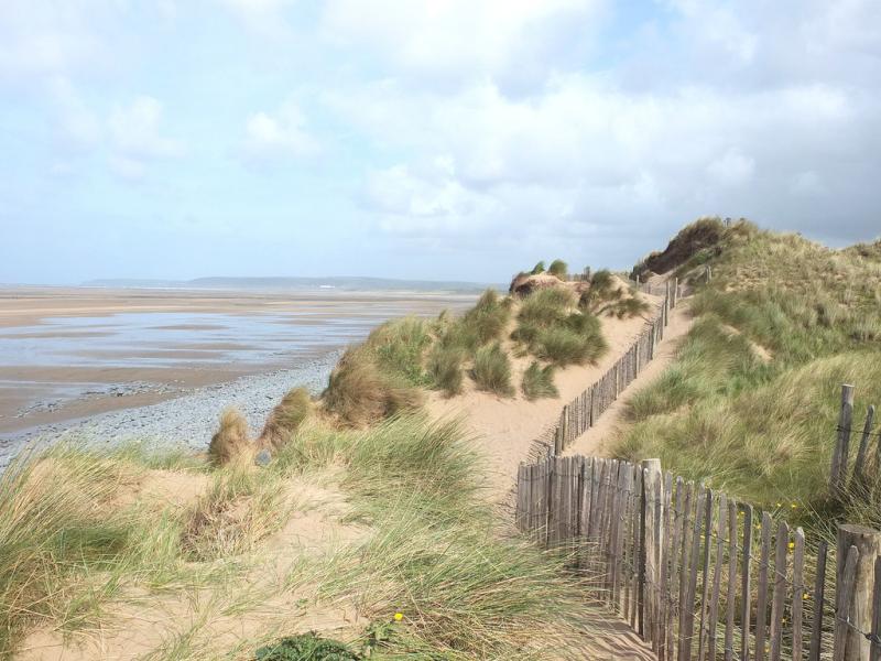 Volunteers needed for Northam Burrows conservation