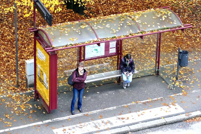 Selaine Saxby: Our challenge to break down barriers to work for the disabled