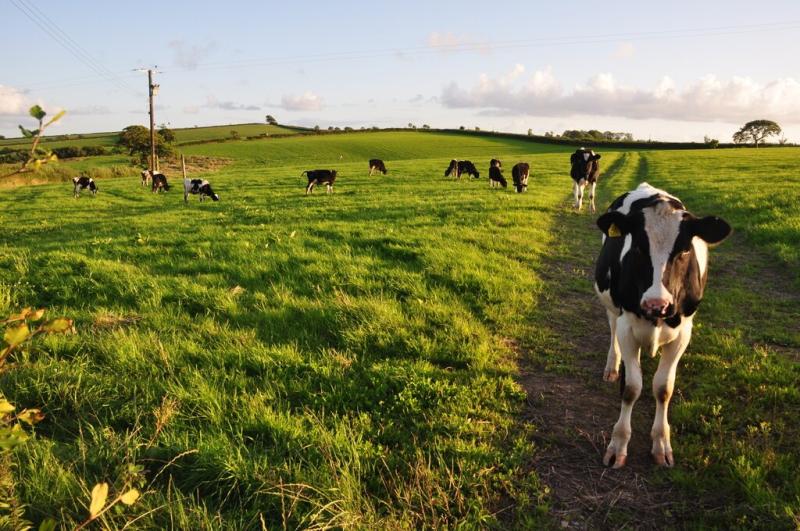 Council to host public meeting to address agricultural challenges