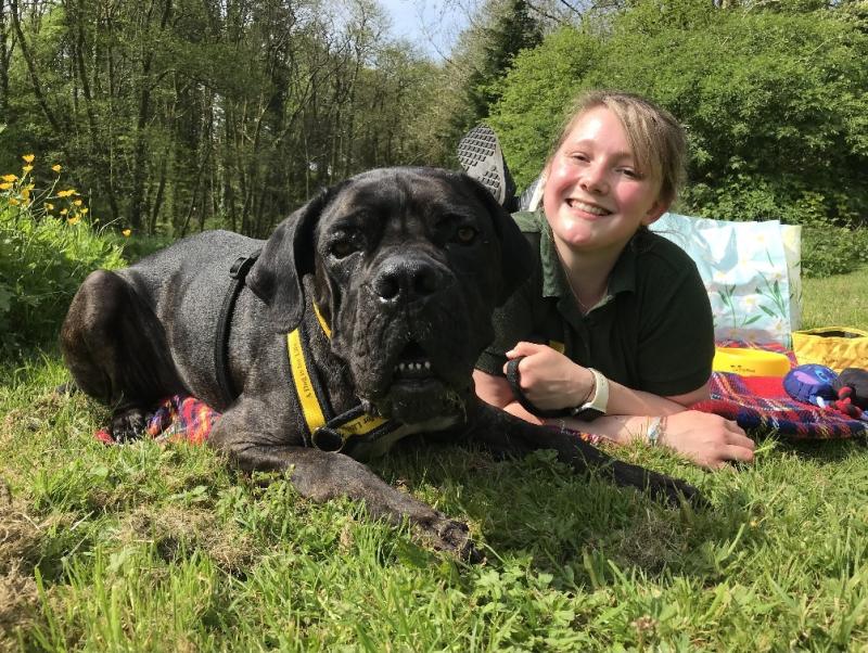 Dog seeks forever home after whole year in charity care