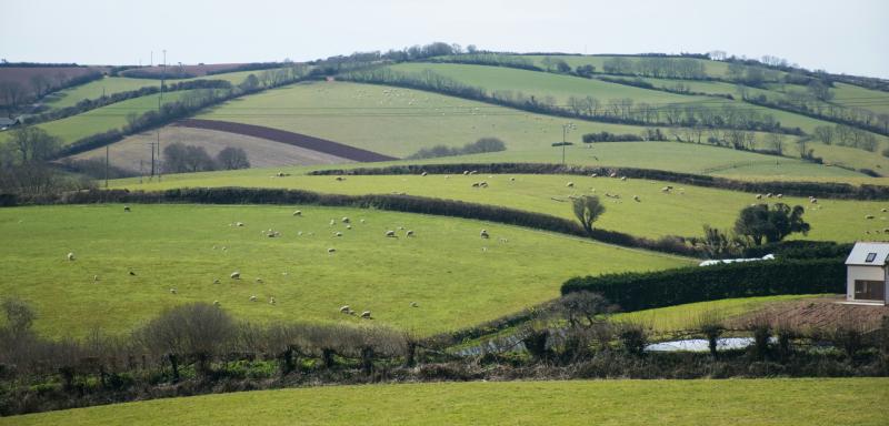 Rural England prosperity fund part two takes motion