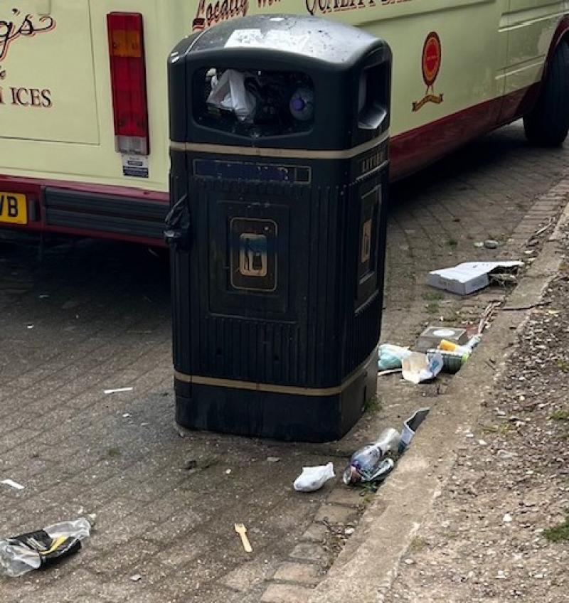 Holidaymaker criticises Ilfracombe's waste issues