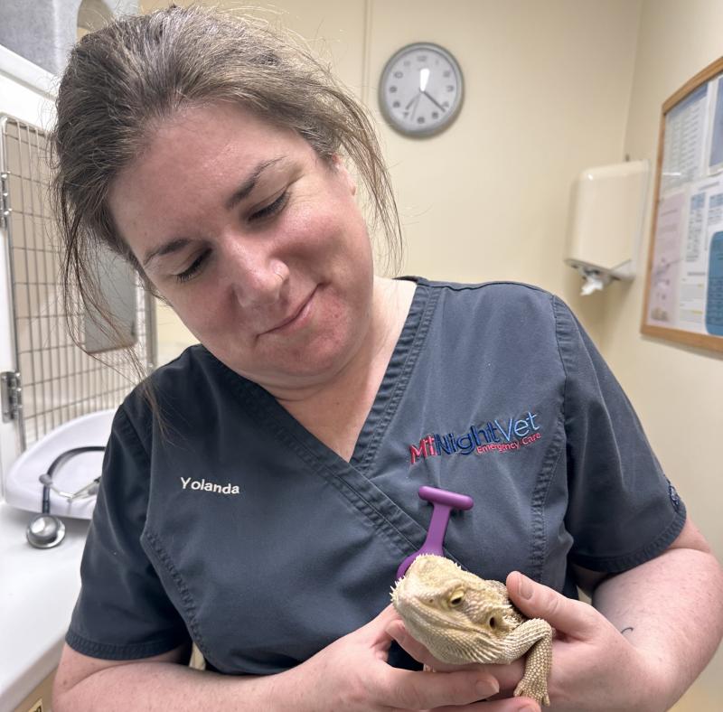 A night in the life of a veterinary nurse in North Devon