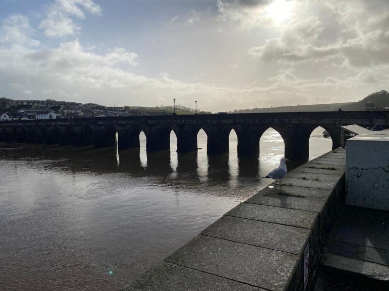 Seaweed could be the answer to boosting Bideford Harbour