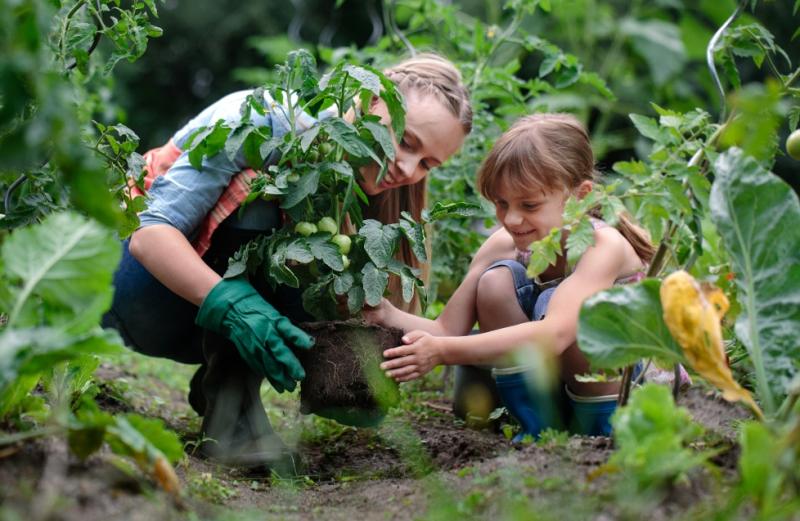 SNG is working with Action Funder to distribute the Thriving Communities Fund - Credit: SNG