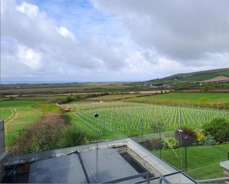 Licence granted to boutique wine producer hoping to expand business