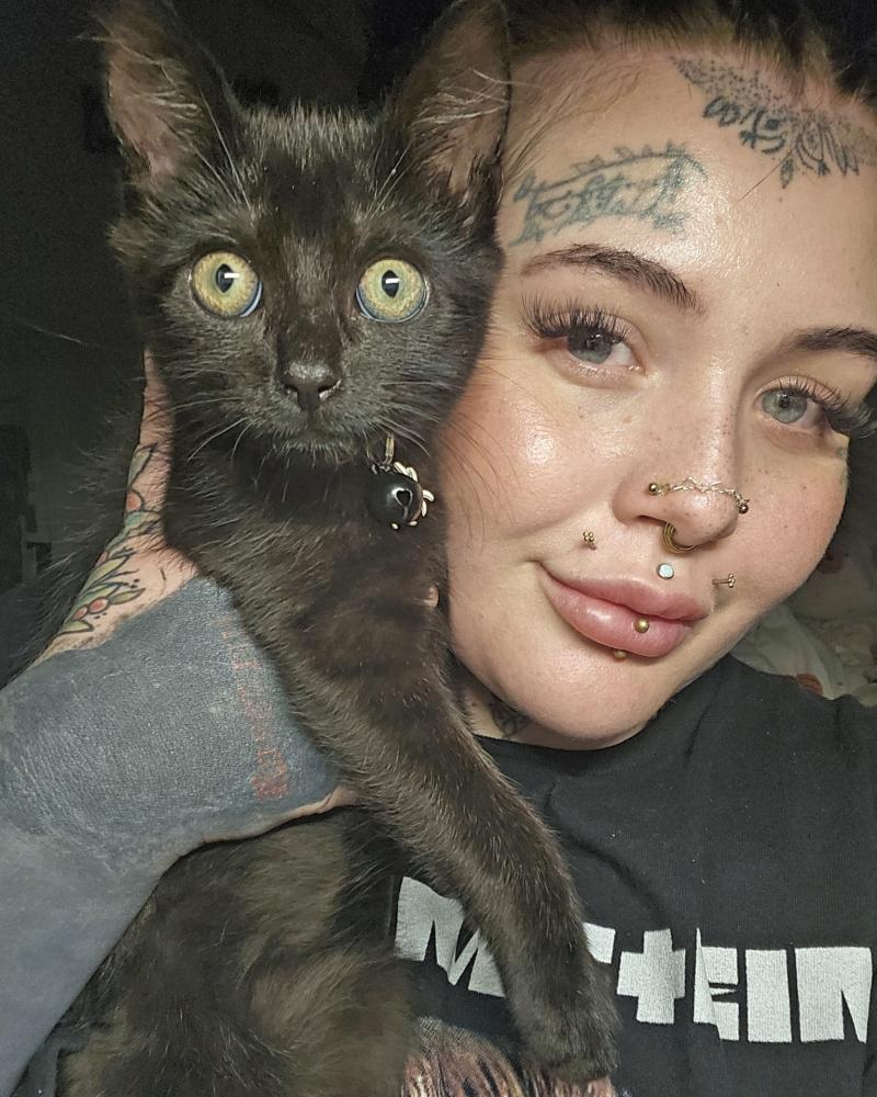 Tattoo studio hosts flash sale to support local cats