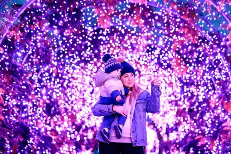 Glow in the gardens at Rosemoor 