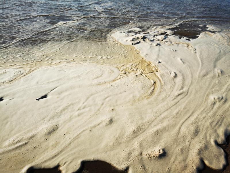 &ldquo;Froth&rdquo; on Northam beach addressed by South West Water