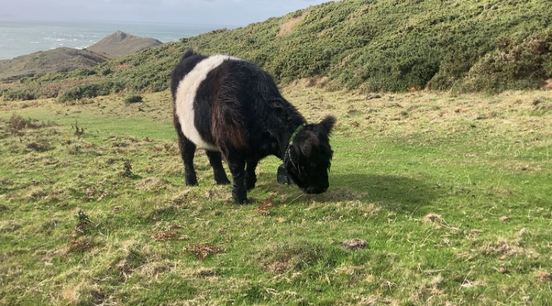 £360,000 in grants boost North Devon and Torridge landscapes