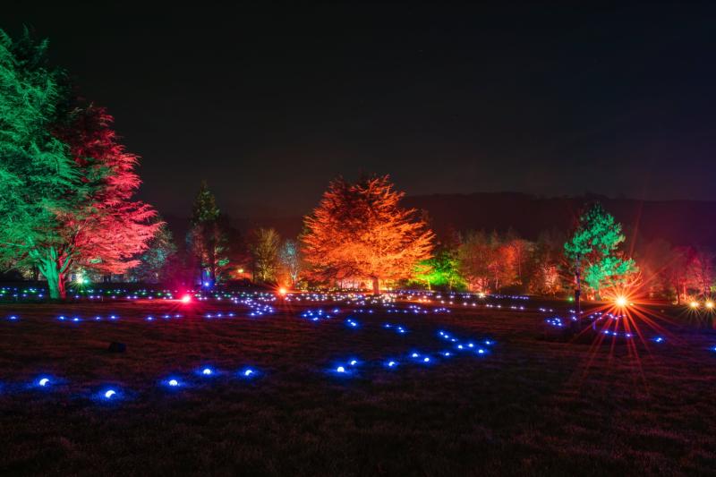Glow returns to North Devon at RHS Rosemoor