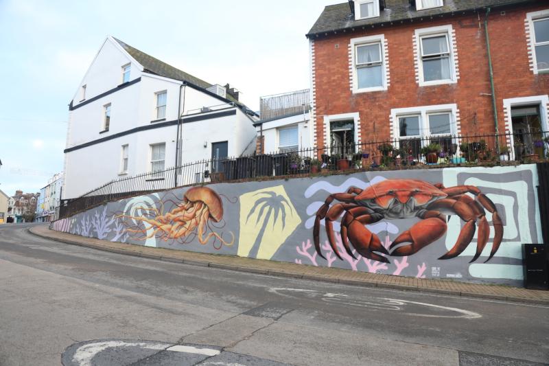 Ilfracombe brightened by new sea-themed mural