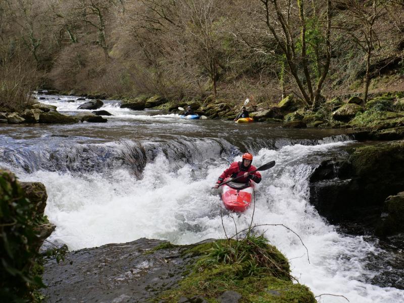 National Trust celebrates 130 years with bold plan to tackle nature crisis 