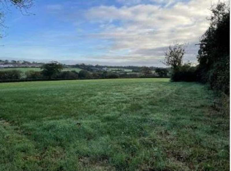 Dog field proposed for holiday business and local community