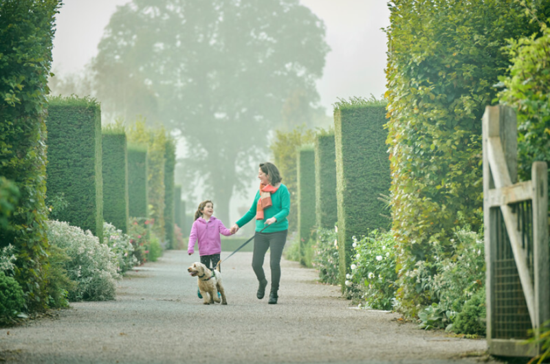 RHS Garden Rosemoor to trial dog-friendly days