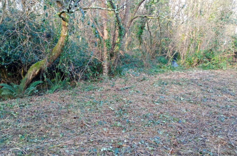 Conservation Day to be held at Fremington Local Nature Reserve 