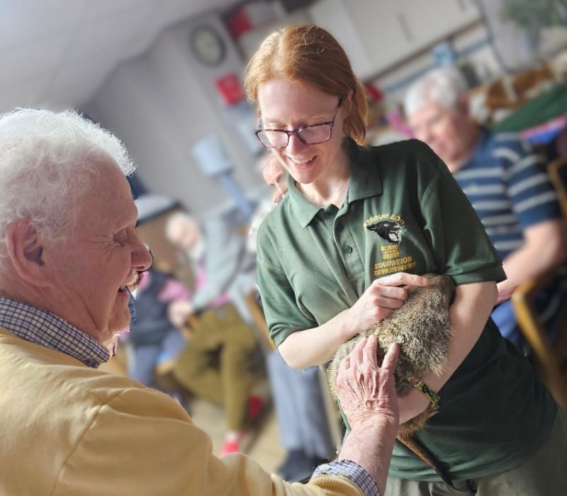 ndg Exmoor Zoo at Edenmore 3