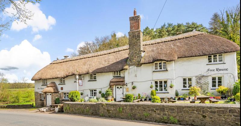 ndg Stags Head Filleigh credit Christies 1