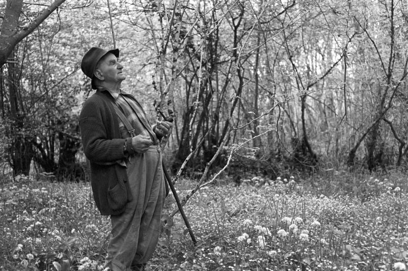 North Devon’s James Ravilious celebrated in major exhibition at Thelma Hulbert Gallery