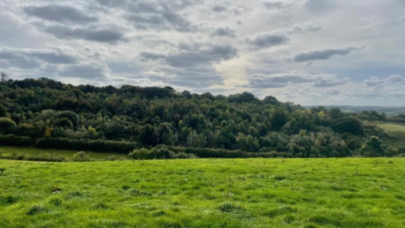 Yeo Valley Community Woodland awarded top honour at South West in Bloom ceremony