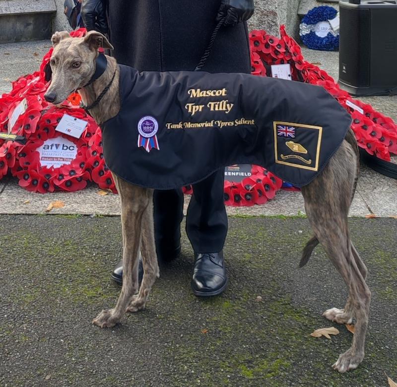 Greyhound injured in attack at Wistlandpound Reservoir