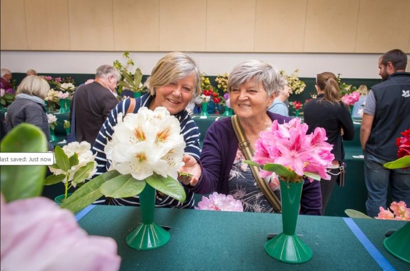 ndh Rosemoor flower show