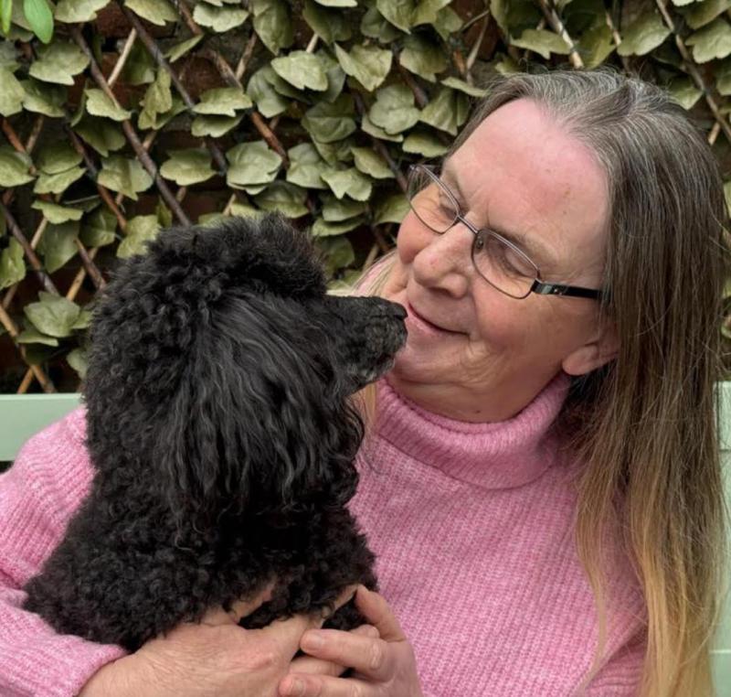 ndg Barking poodle Rupert and Bev 1