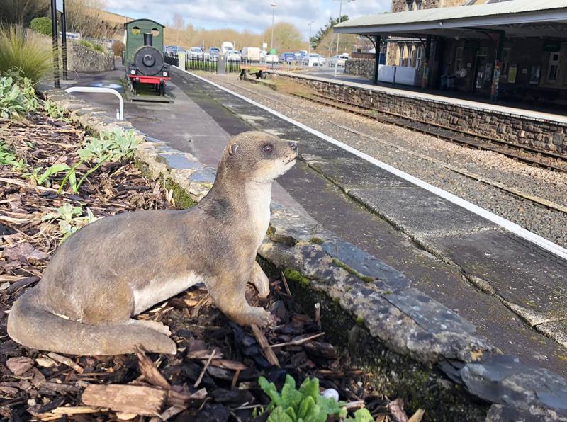 ndg Barnstaple railway planters CCIF 2