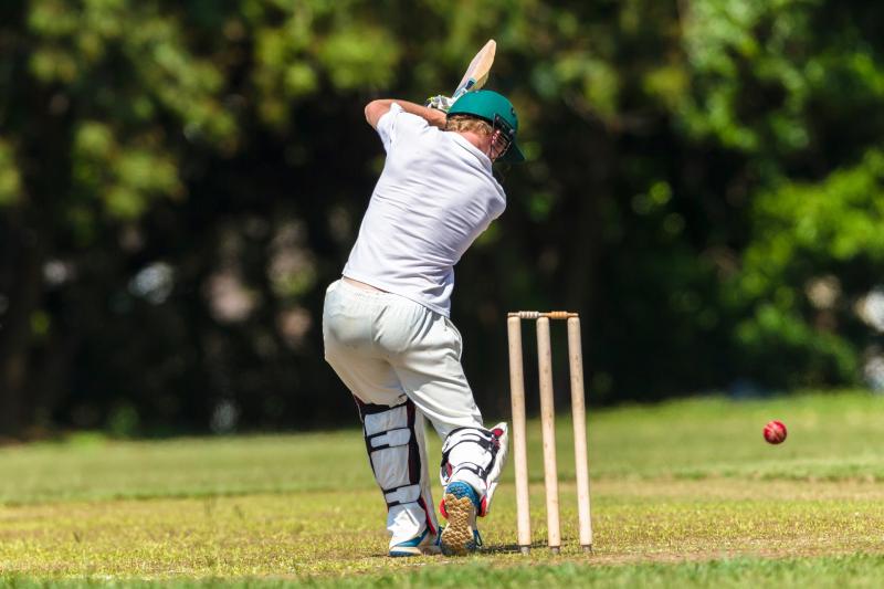 ndg cricket generic credit ChrisVanLennepPhoto-Adobe