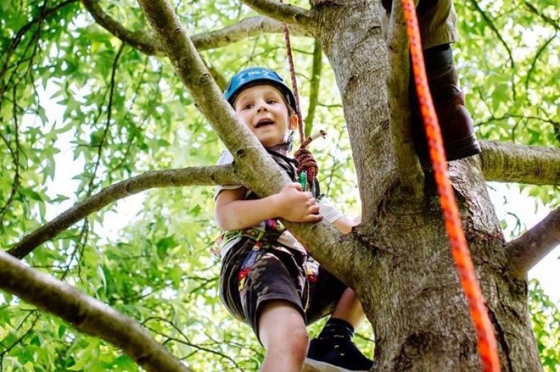 RHS Rosemoor offers woodland crafts and forest fun for families this summer