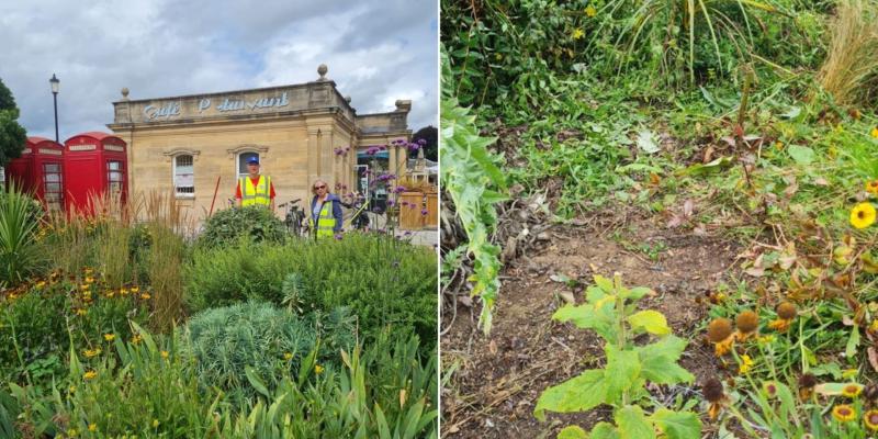 ndg Barnstaple in Bloom Strand display before-after
