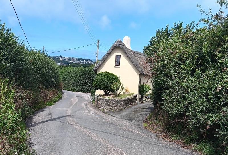 Westleigh - threatened hedgerow and Rock Cottage viewed from the south (photo supplied by Brian Lees)