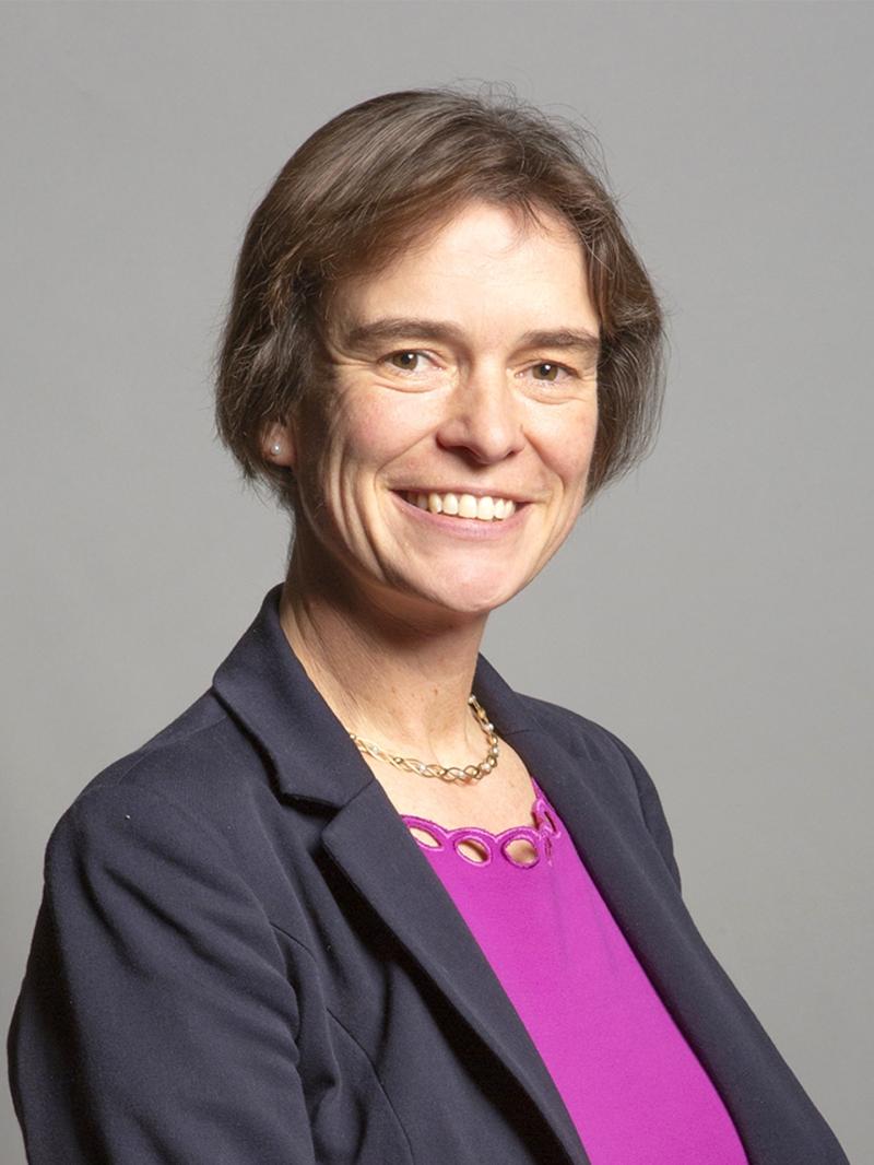 Former North Devon MP Selaine Saxby says the Bulworthy Farm solar energy proposal is a step too far