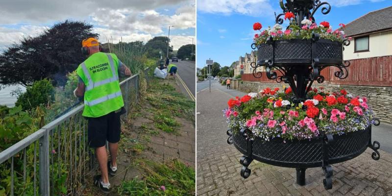 Ilfracombe in Bloom composite