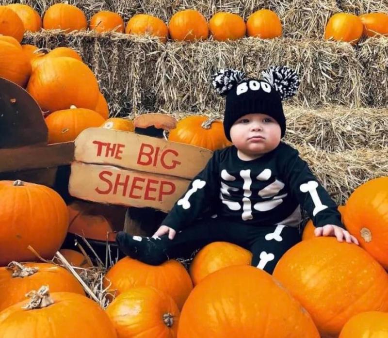 Halloween big sheep TT