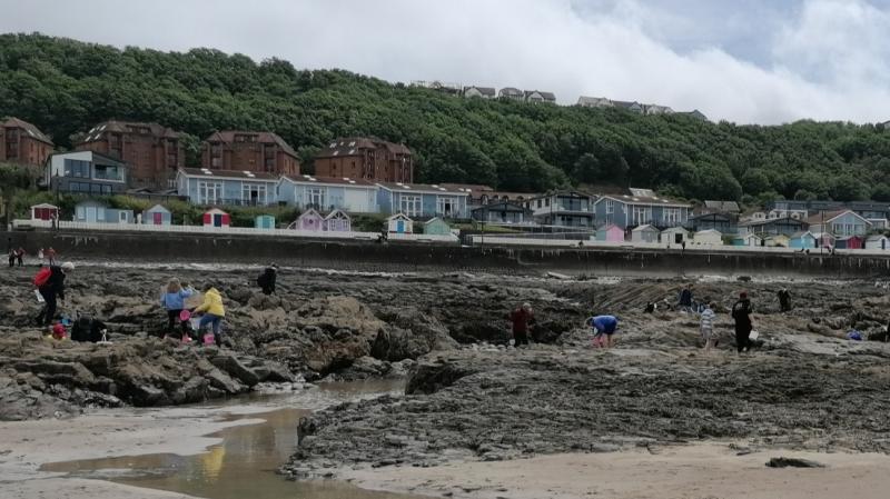 Free family activities planned at Northam Burrows this half-term