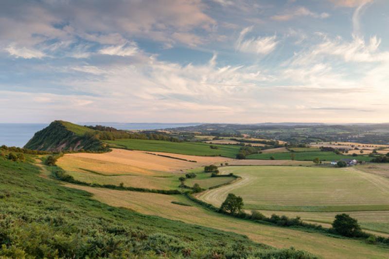 Devon councils reveal joint plan for new local government structure