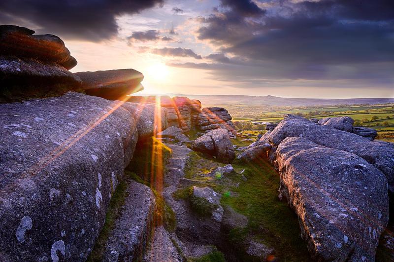 LGR Image November 17 2025