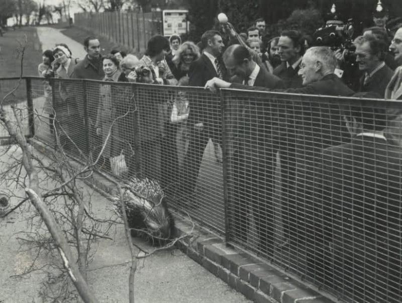 Nostalgia: When Royals came to the Bay