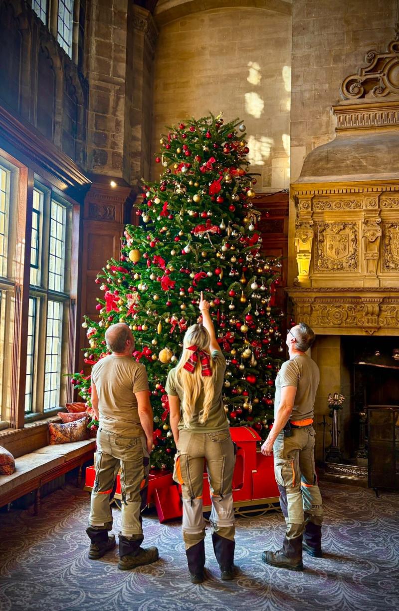 Bovey Castle launches festive ‘Whodunnit’ campaign after iconic Christmas tree star goes missing