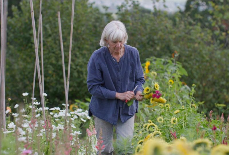Clare Hargreaves at the Apricot Centre