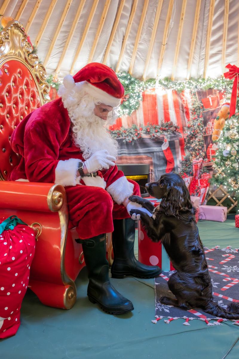 Santa Paws comes to town: Cofton Holidays opens doggy Christmas Grotto