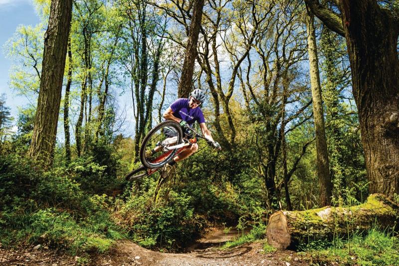 Haldon Forest. Pic from Mountain Biking UK