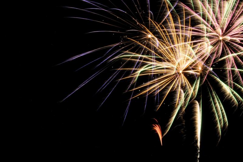 South Hams councillors reject ban on loud fireworks