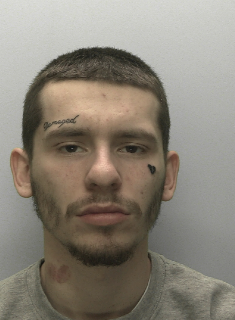 22-year-old man jailed over violent Totnes attacks