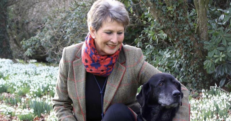 The experienced South Devon dog trainer has signed a publishing deal (Image- Ingrid Grayling)