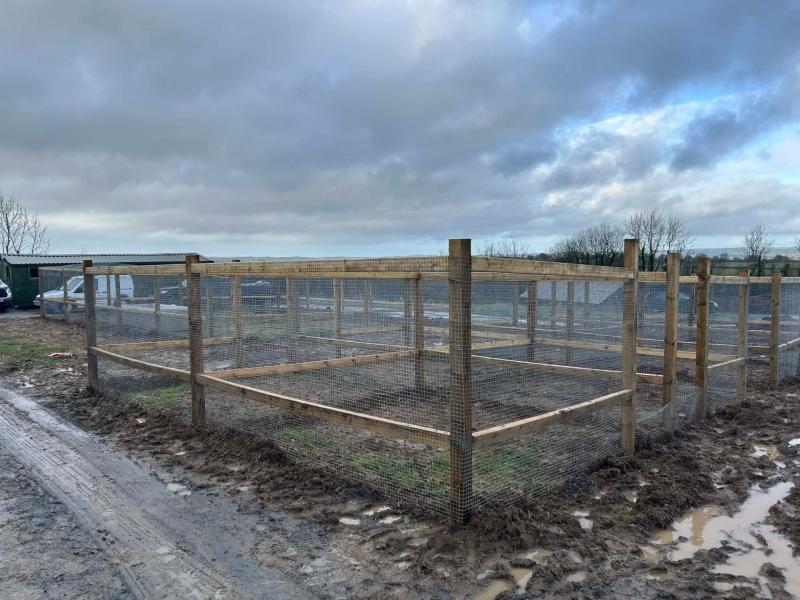  North Devon otter sanctuary rebuilds after losing former site