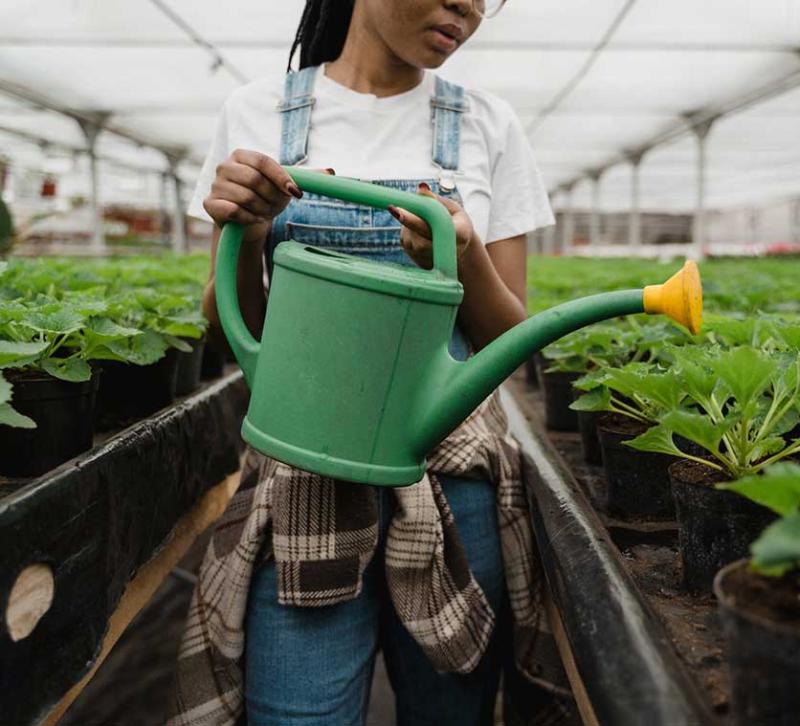 How Torbay Timebank is connecting neighbours and building community