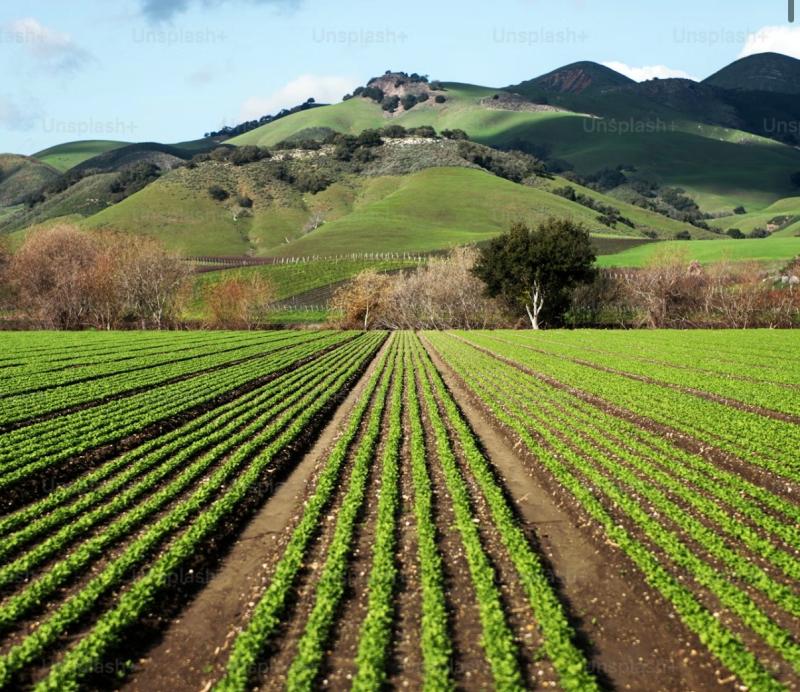 Rootstock 2026 brings UK farming leaders to Westpoint, Exeter