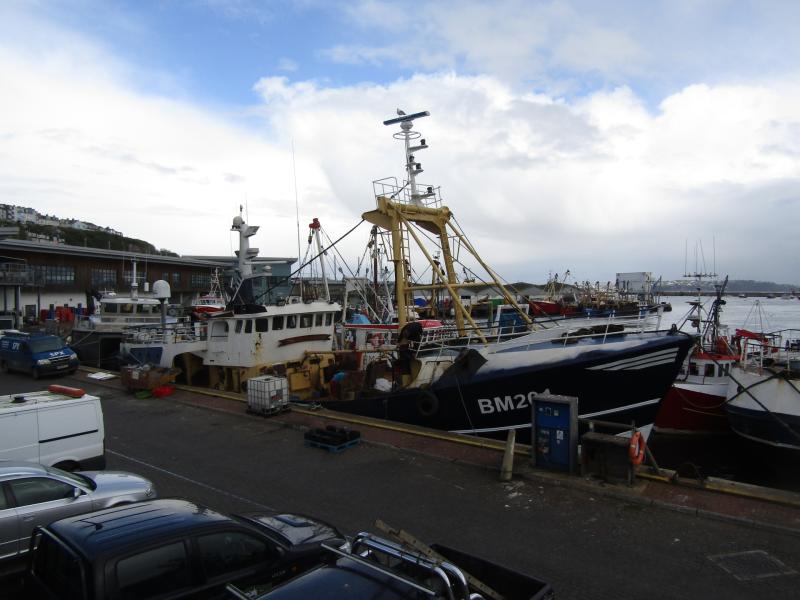 Fishing vessel returns to harbour after Berry Head collision